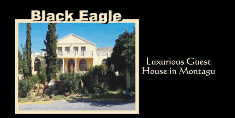 Black Eagle